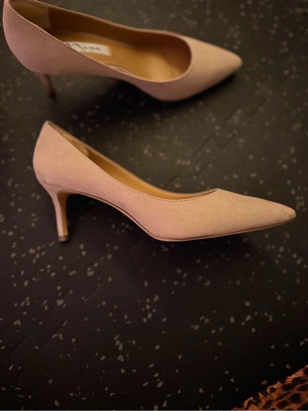 Nina elegant pointed